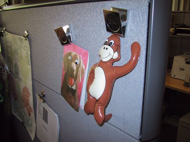 Image viewer